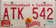 NEWFOUNDLAND 1996 LICENSE PLATE